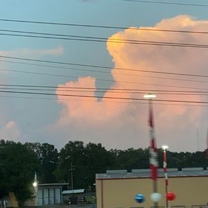 Meet your Posher, Jaylynn